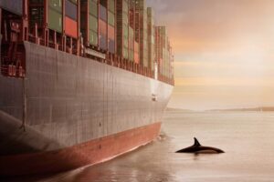 Maritime decarbonization