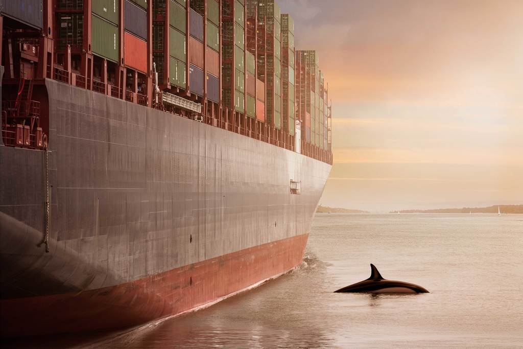 Maritime decarbonization